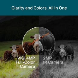 VIGI C540-4G TP-Link VIGI 4MP Outdoor Full-Color 4G-LTE Pan/Tilt Network Camera