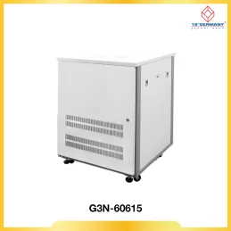 15U 19" GERMAN RACK NEW SERIES G3N-60615 60x60x85cm