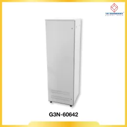 42U 19" GERMAN RACK NEW SERIES G3N-60642 60x60x205cm