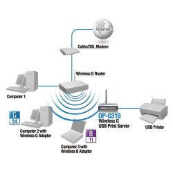 D-Link D-Link DP-G310 - Wireless Print Server 1 USB Port (รองรับ IPP)