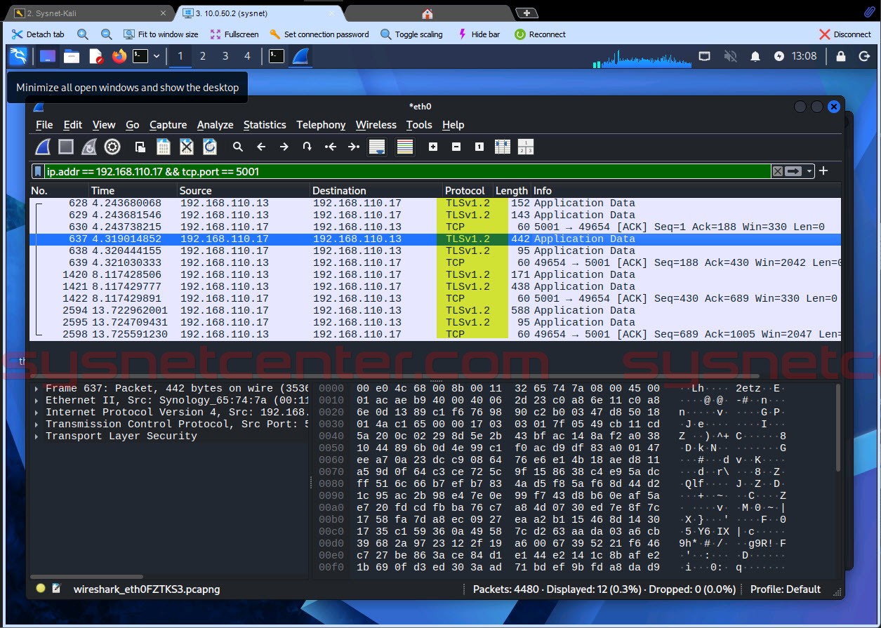 Wireshark แสดง HTTPS Traffic ของ Synology NAS เป็น TLS เข้ารหัส