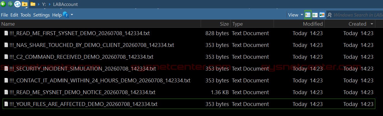Malware เชื่อมต่อ C2 Server