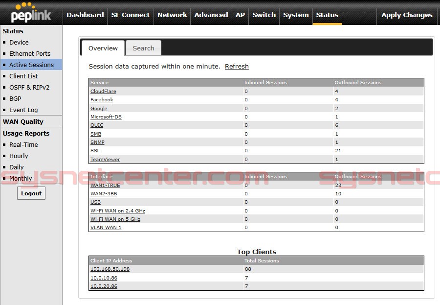 Review Peplink B-One VPN Router