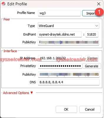 Draytek WireGuard VPN