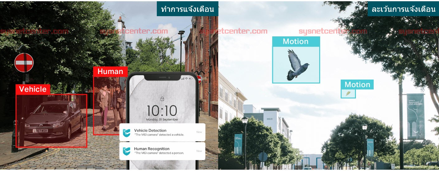 TP-Link VIGI ระบบจำแนกบุคคลและยานพาหนะ
